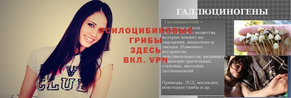 винт Абинск
