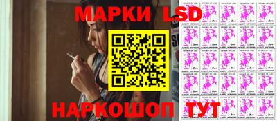 шишки Долгопрудный