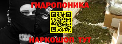 шишки Долгопрудный